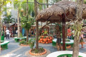 Zostaw plany Panu Bogu - Barbara Mirczewska z Boliwii