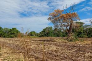 Zostaw plany Panu Bogu - Barbara Mirczewska z Boliwii