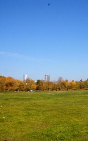 Konsultacje Pola Mokotowskiego już w kwietniu