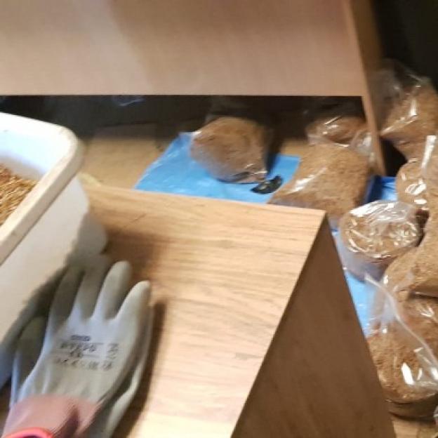 Papierosy z przemytu białoruskiego zabezpieczone po pościgu