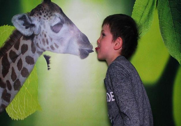 Fotobudka w warszawskim zoo